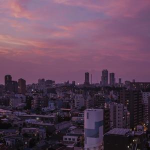 �������ξ��㹥��
