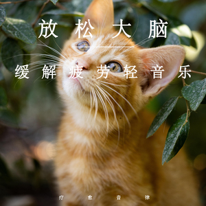 �������ξ��㹥��
